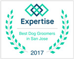 Best Dog Groomers in San Jose