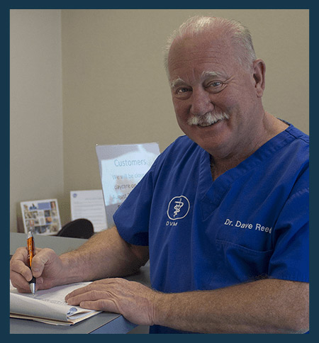 Dr. David Reed, the Veterinarian at Dr. Dave's Doggy Daycare
