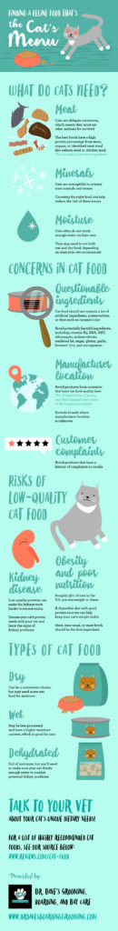 Finding A Feline Food That s The Cat s Meow INFOGRAPHIC 