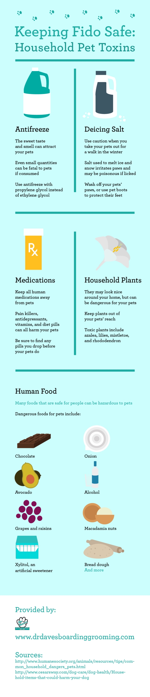 Keeping Fido Safe Household Pet Toxins Infographic in San Jose