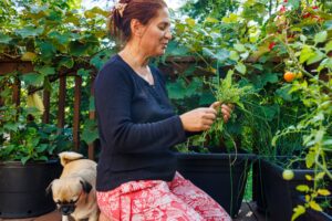 The Healing Power of Pets