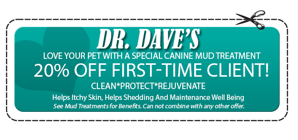 20% off first time client coupon from Dr. Daves at Campbell, CA