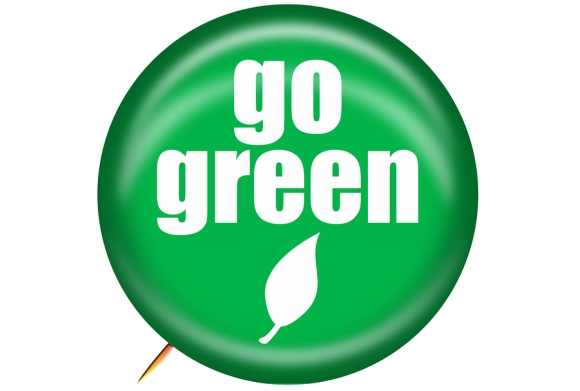 Benefits of Going Green for Your Pets in San Jose