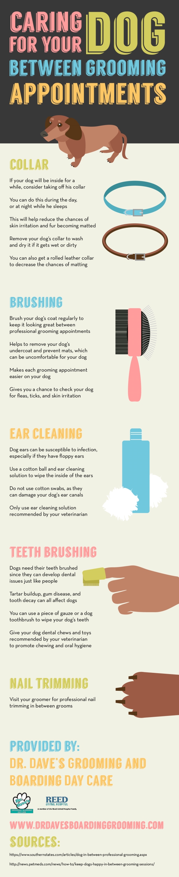 Caring for Your Dog Between Grooming Appointments Infographic