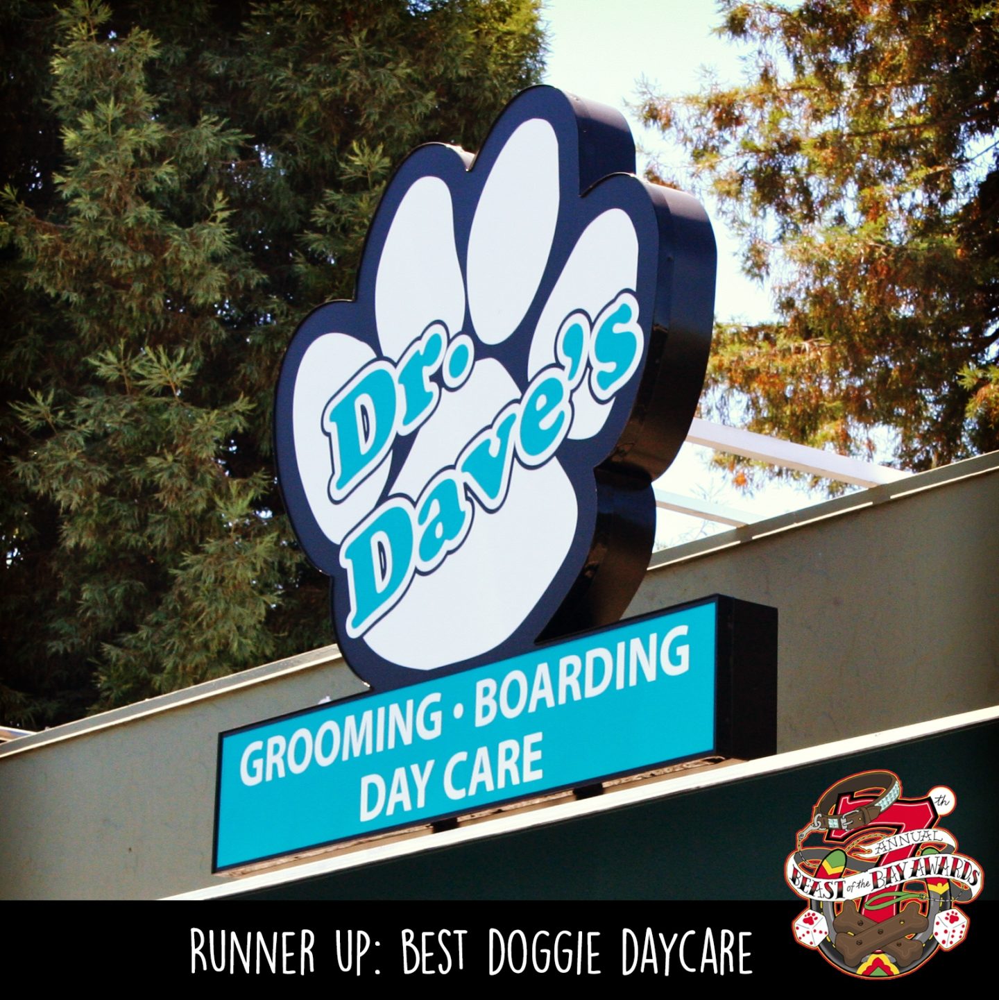 Runner Up Best Doggie Daycare in the Bay Area