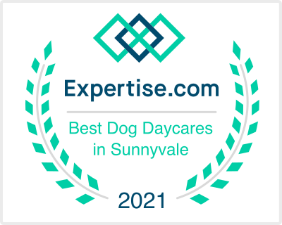 Best Dog Groomers in San Jose