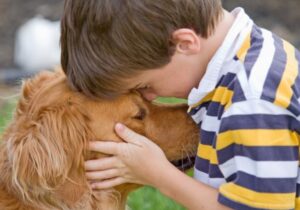 A small boy playing with dog at Campbell, CA