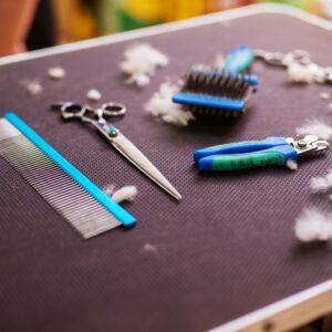 The dog grooming tools in table at Campbell, CA