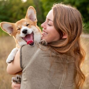 Summer Heat Safety for Pets