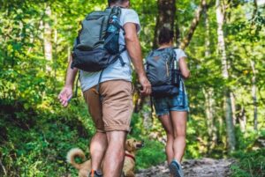 10 things you should know before going hiking with a dog