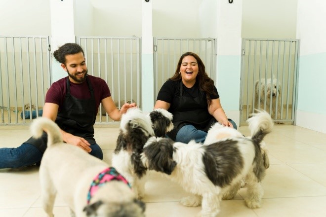 A person and person with dogs