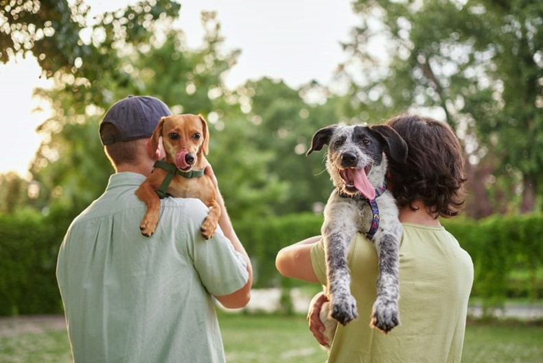 A couple of people carrying dogs on their shoulders