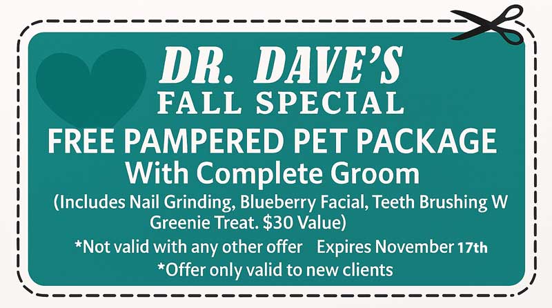 November 17th Dr. Dave Fall Coupon