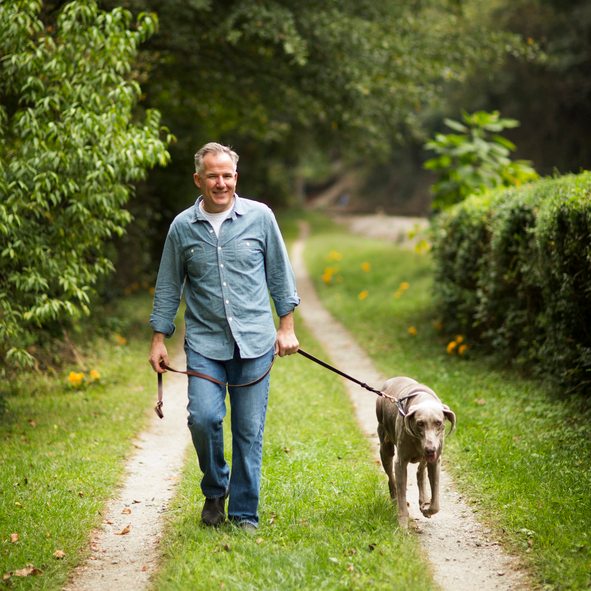 Mature man walking in park with his pet Labrador Retriever